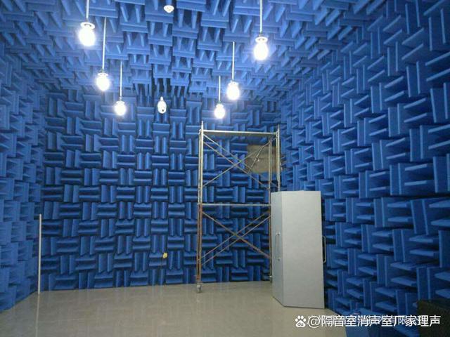 消声室与半消声室的性能探析